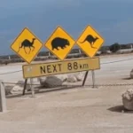 outback highway showing gps tracking